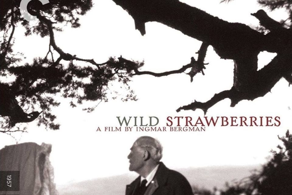 Полтавців запрошують на світову класику авторського кіно_1