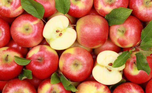 Україна втричі збільшила експорт яблук_2