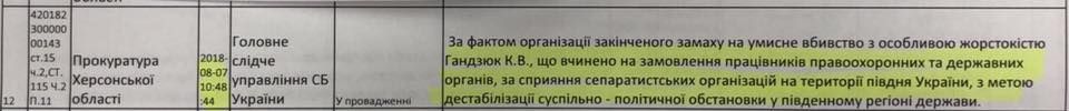 Серійна бездіяльність, або Особливості слідства у справі Гандзюк_15
