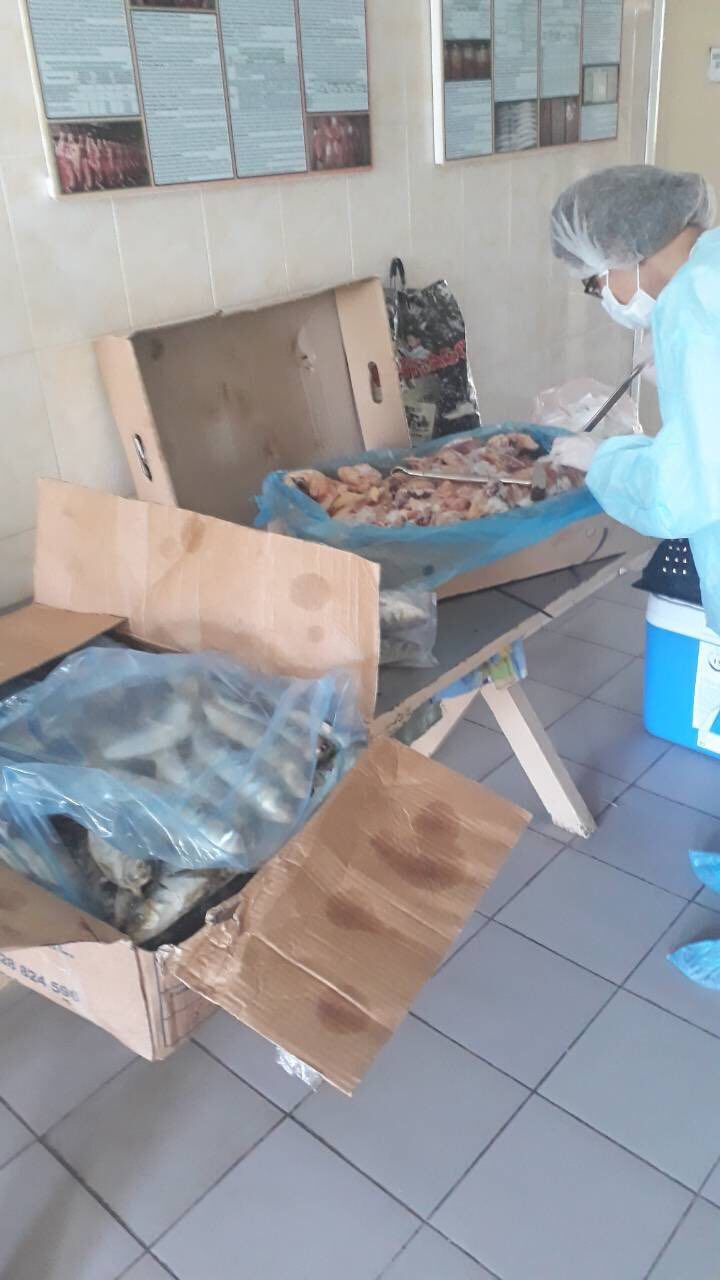 У колоніях на Полтавщині засуджених годували зараженим м’ясом_1