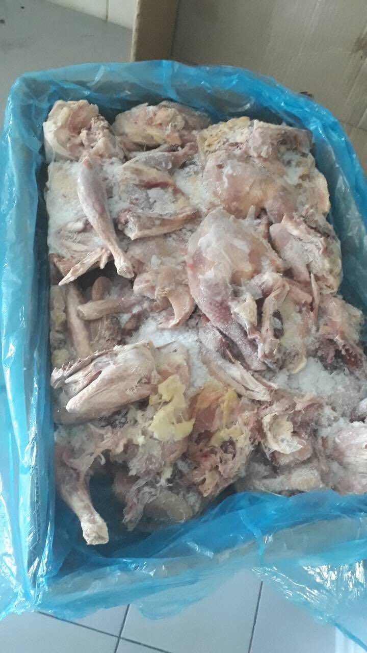 У колоніях на Полтавщині засуджених годували зараженим м’ясом_3