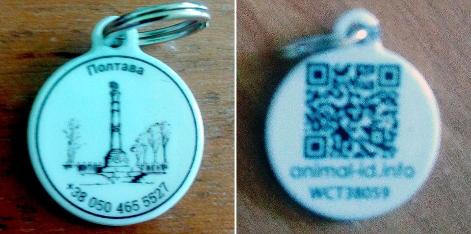 Репортажі з-за Кобищанських парканів: котики, песики, міссісіпські алігаторчики_7