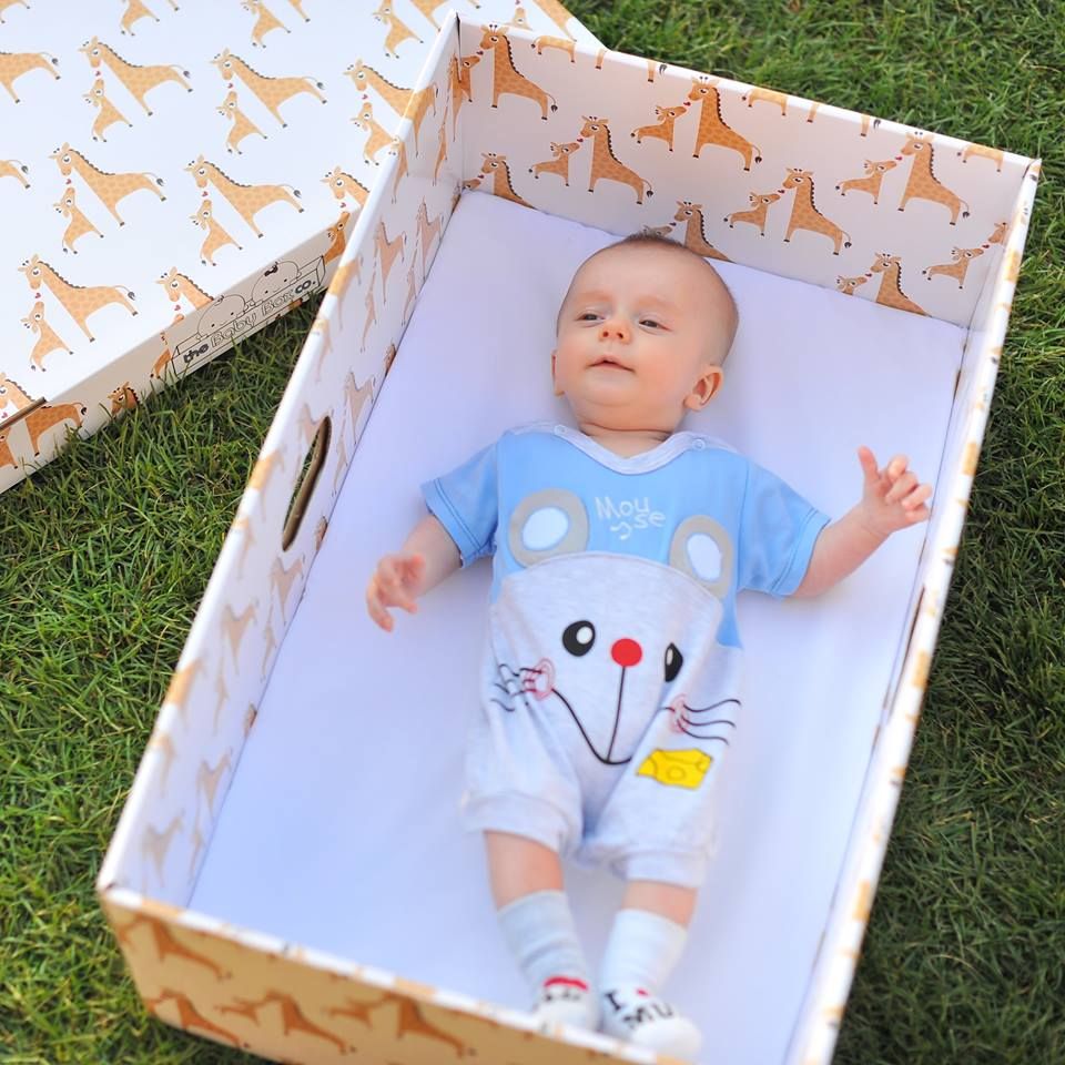 Картонні колиски Володимира Гройсмана_1