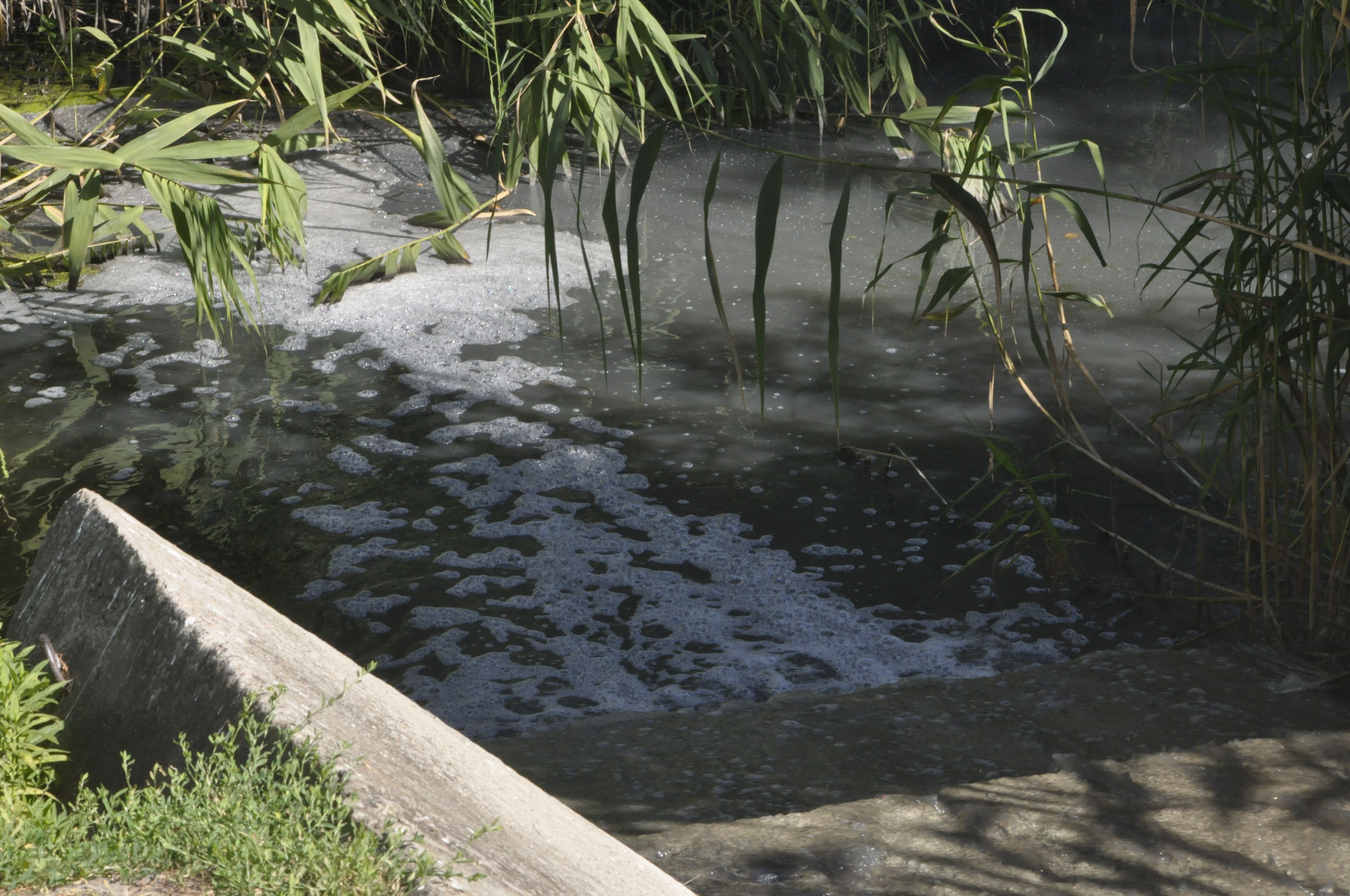 Карлівські комунальники зливали в річку нечистоти _1