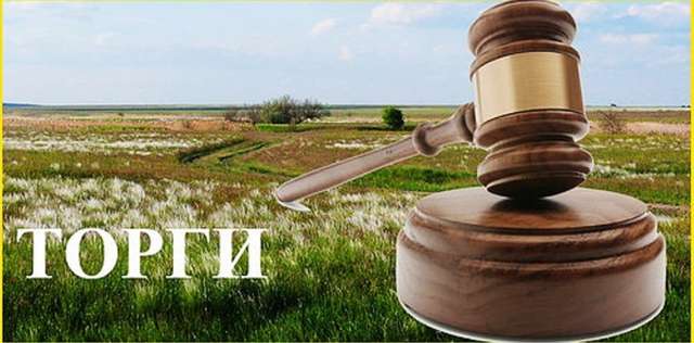 Земельні торги:  на Полтавщині сільські бюджети поповнилися на більше ніж 790 тисяч гривень_1