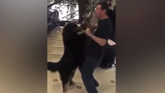 Відеокліп генерального прокурора у заміському маєтку викликає щонайменше три запитання_1