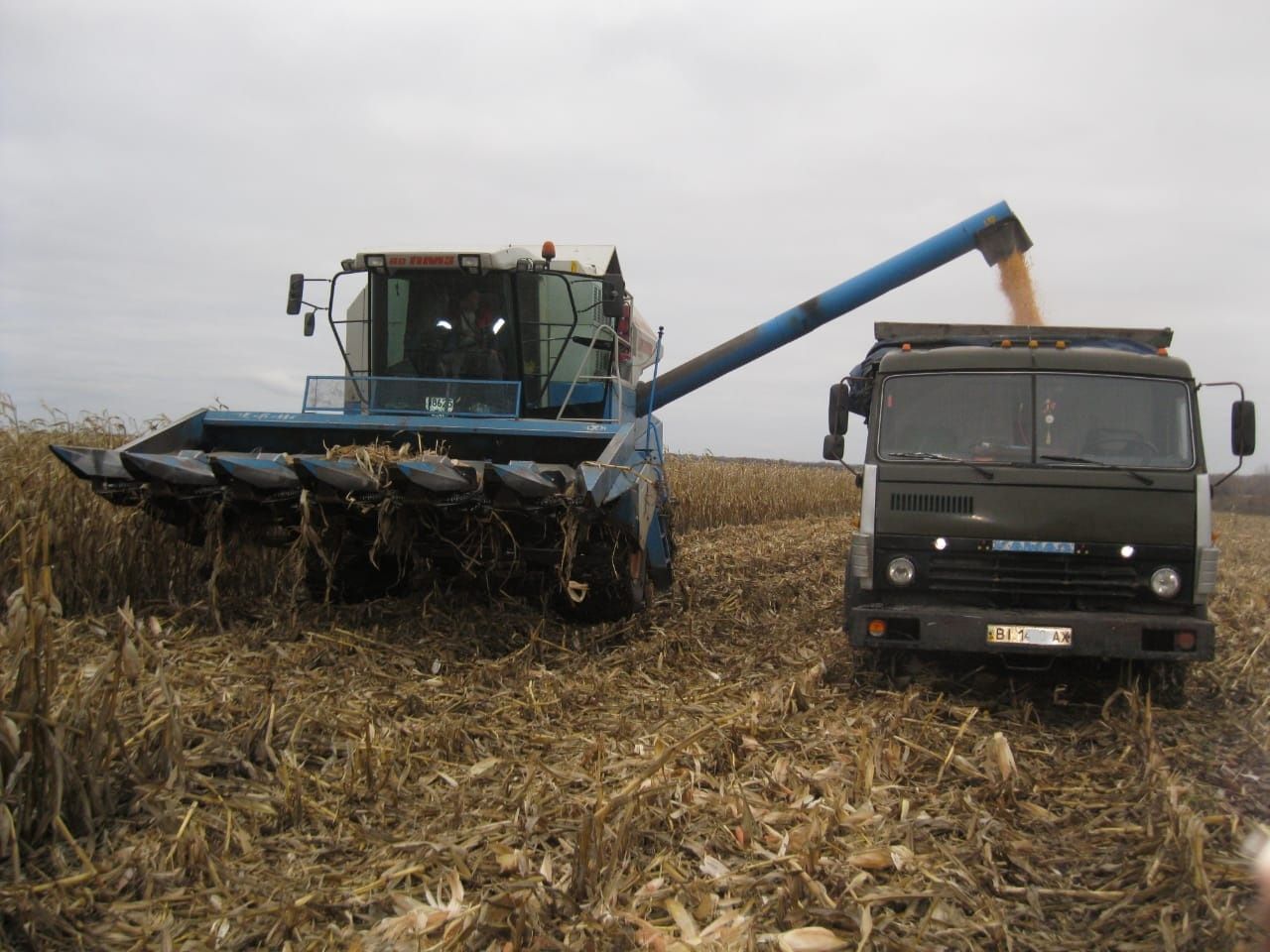 На Полтавщині повертають землі у власність держави_1