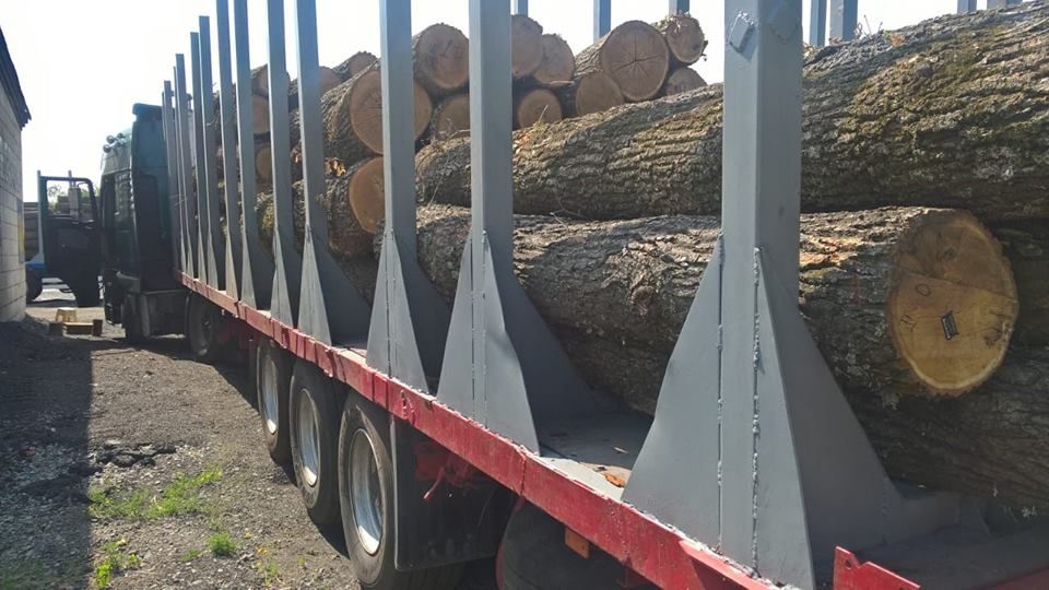 На Полтавщині чиновник  налагодив «схему» реалізації деревини _1