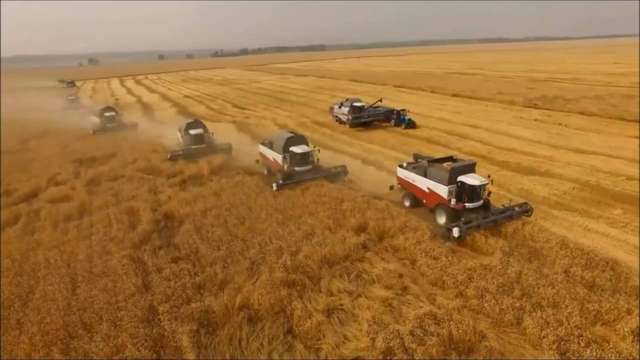 Полтавщина – лідер за кількістю працівників у агросекторі_1