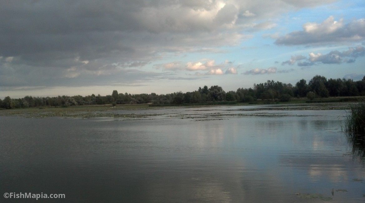 Незаконно орендоване водосховище повернули до державної власності_1