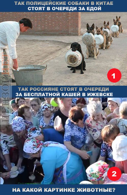 ЗМІ посмішили серією фотожаб про Путіна і «встающую с колен Россию» _1