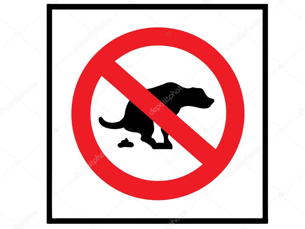 «А де ж та війна? Серед купи лайна…»_1