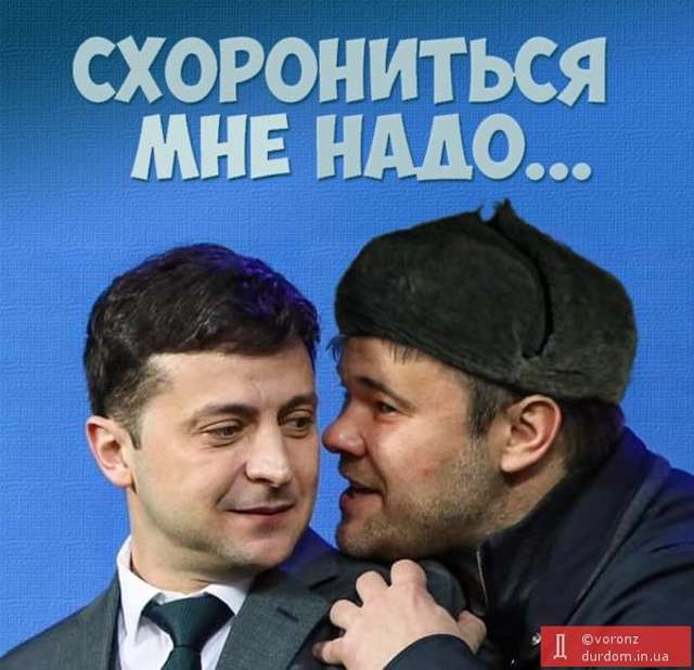 Перші ластівки, які прилетіли робити зиму_1