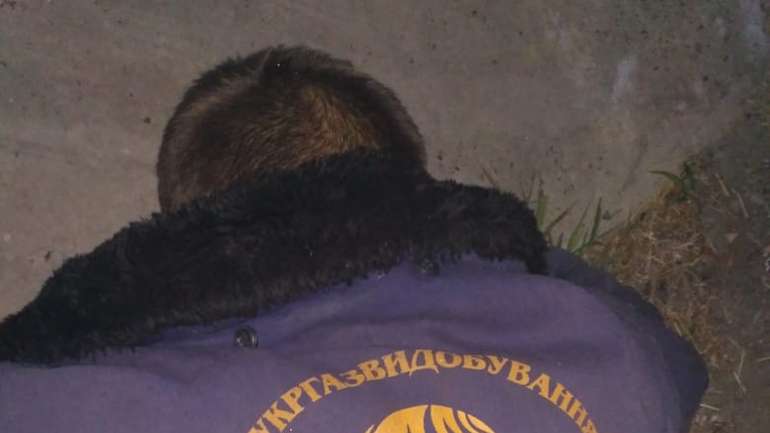 У Лохвицькому районі викрили крадіїв газового конденсату – співробітників охоронної фірми та місцевих працівників