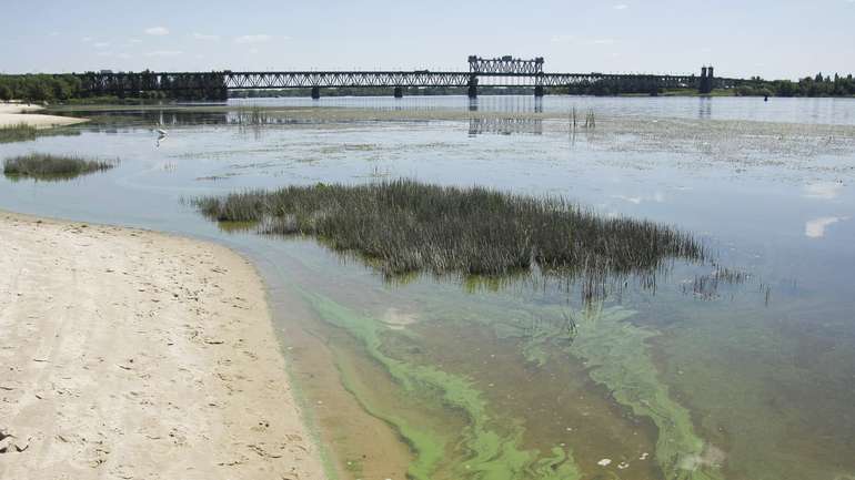 Пляжі Кременчука заражені кишковою паличкою