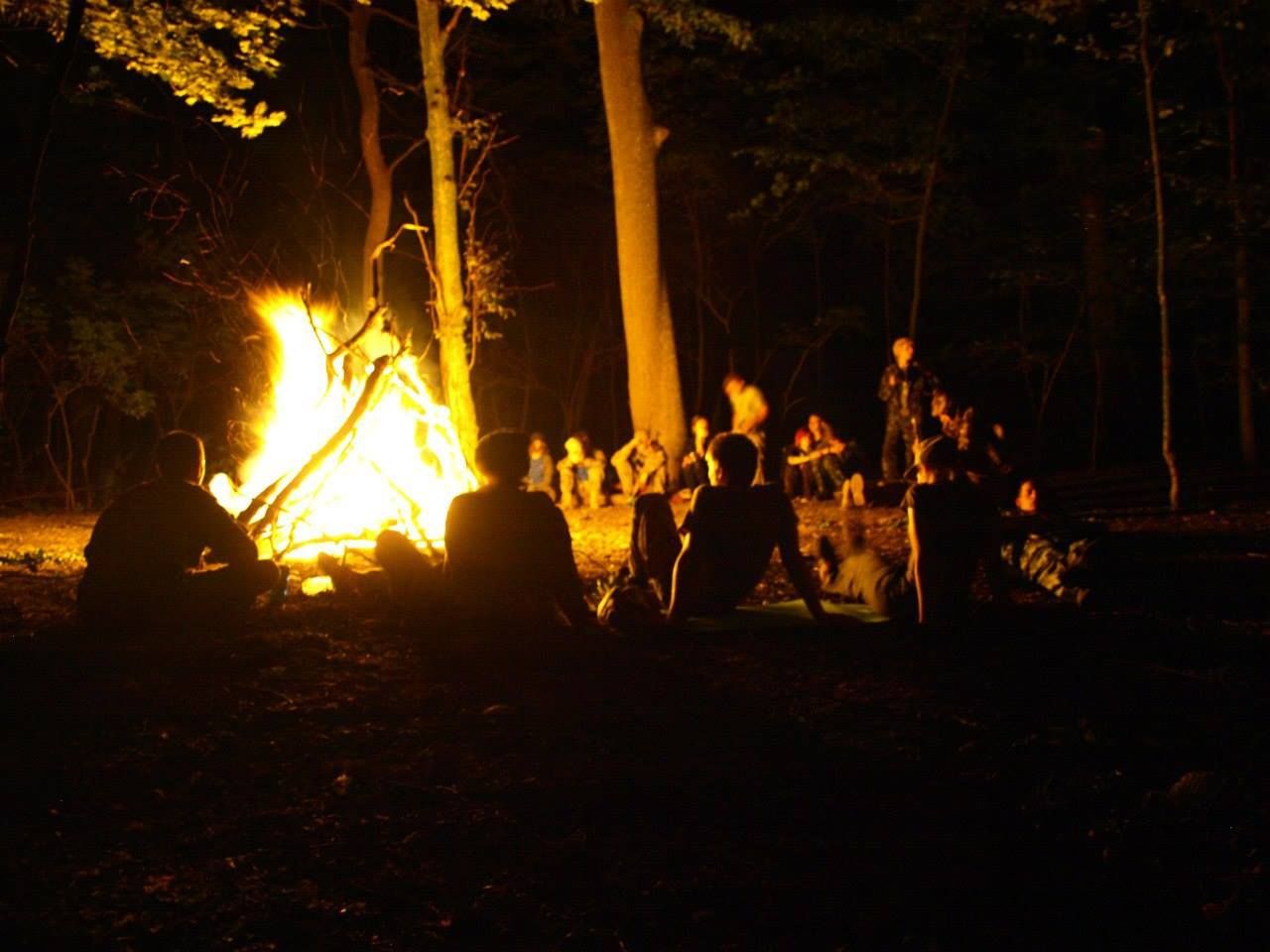 Полтавську молодь запрошують відвідати Холодний Яр на Черкащині_1