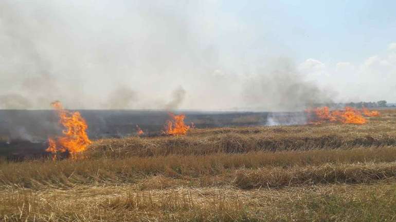 ​На Полтавщині горять поля