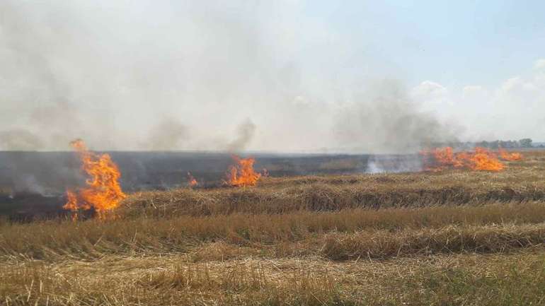 На Полтавщині горять поля
