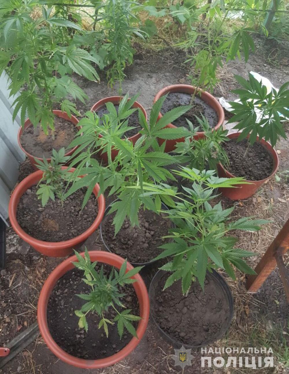 Труїв молодь метадоном і канабісом: у Кременчуці затримали чергового наркоторговця_3