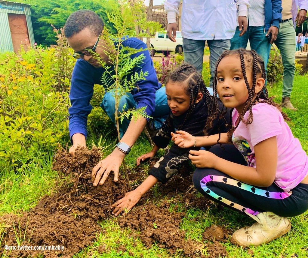 Глобальне озеленіння: як відроджують ліси у Ефіопії_1
