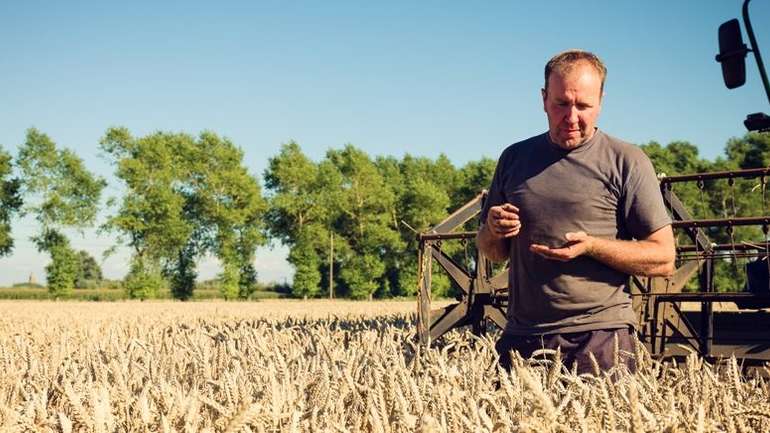 Уряд видав багатомільйонну компенсацію українським сільгоспвиробникам