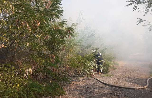 Впродовж доби вогнеборці загасили на Полтавщині 12 пожеж на відкритій території_2