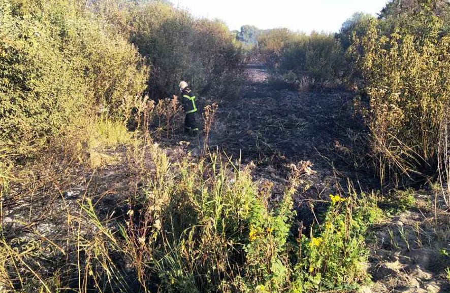 Впродовж доби вогнеборці загасили на Полтавщині 12 пожеж на відкритій території_3