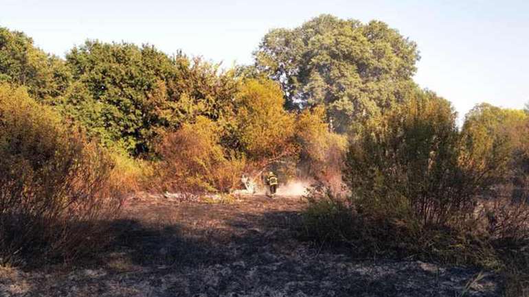 Впродовж доби вогнеборці загасили на Полтавщині 12 пожеж на відкритій території