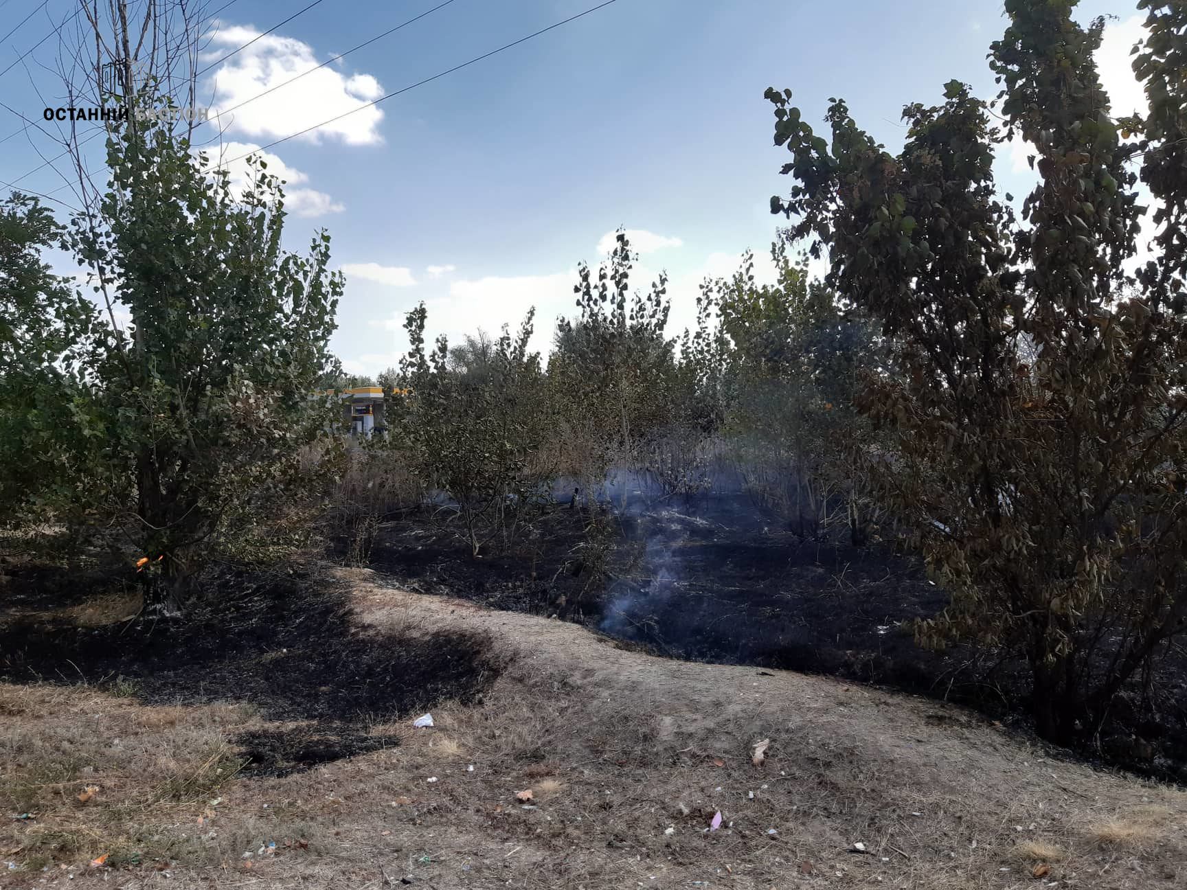У Полтаві під час пожежі на відкритій території ледь не згоріли автівки (фото, додано відео)_3