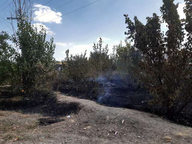 У Полтаві під час пожежі на відкритій території ледь не згоріли автівки (фото, додано відео)_3