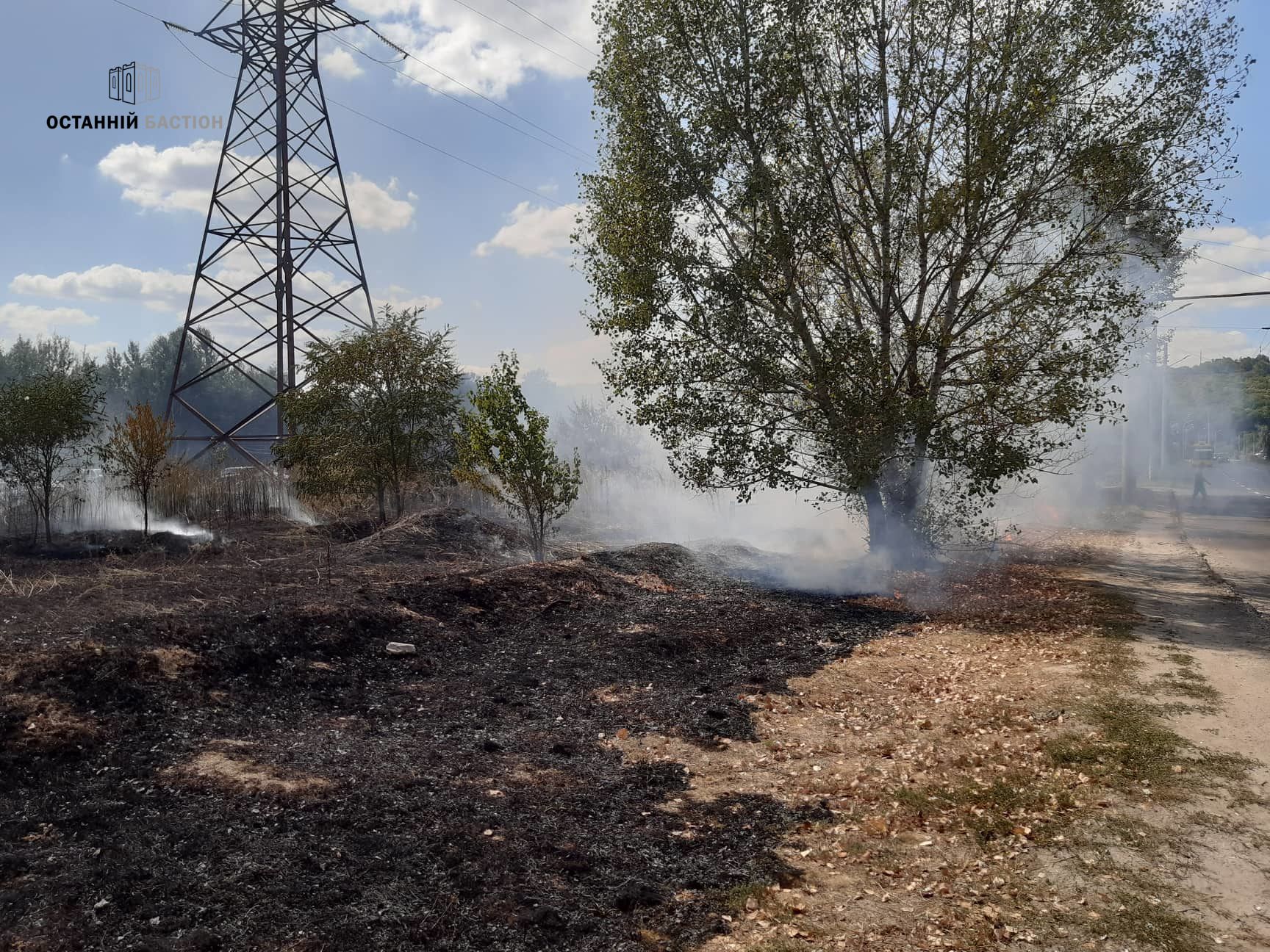 У Полтаві під час пожежі на відкритій території ледь не згоріли автівки (фото, додано відео)_5