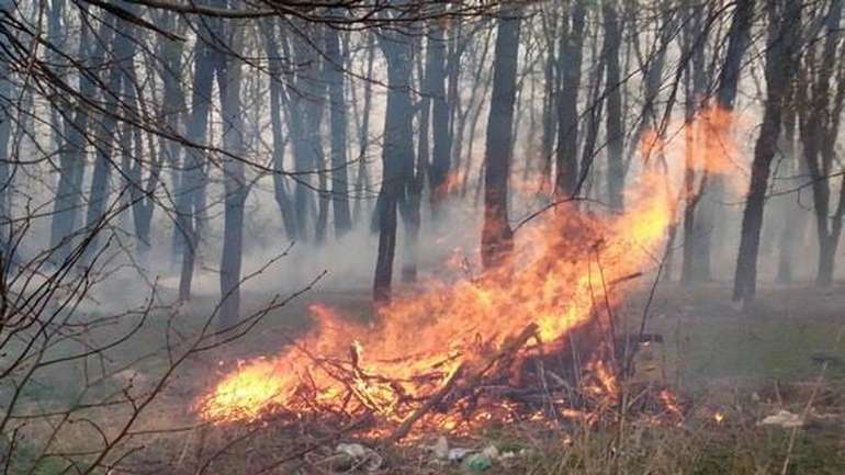 Решетилівська міська рада нагадала про штрафи за самочинне спалення органічних відходів