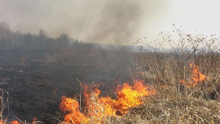 За самочинне спалювання стерні неодмінно будуть штрафні санкції, — Котелевська РДА