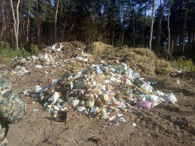 Кобеляцька міська рада влаштувала в лісі незаконне сміттєзвалище – екологи рахують збитки (фото, відео)_2