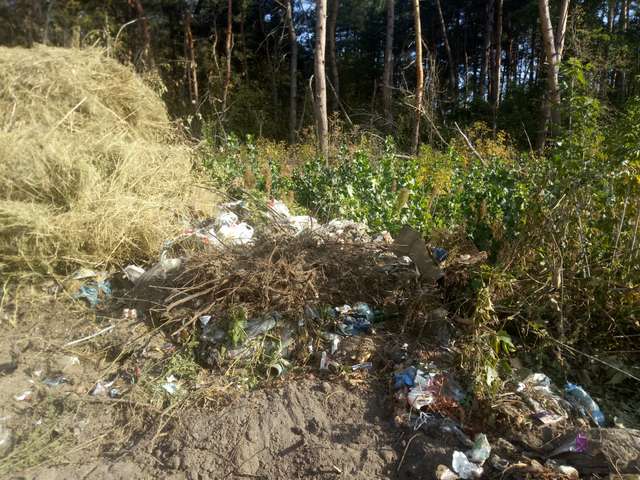 Кобеляцька міська рада влаштувала в лісі незаконне сміттєзвалище – екологи рахують збитки (фото, відео)_4