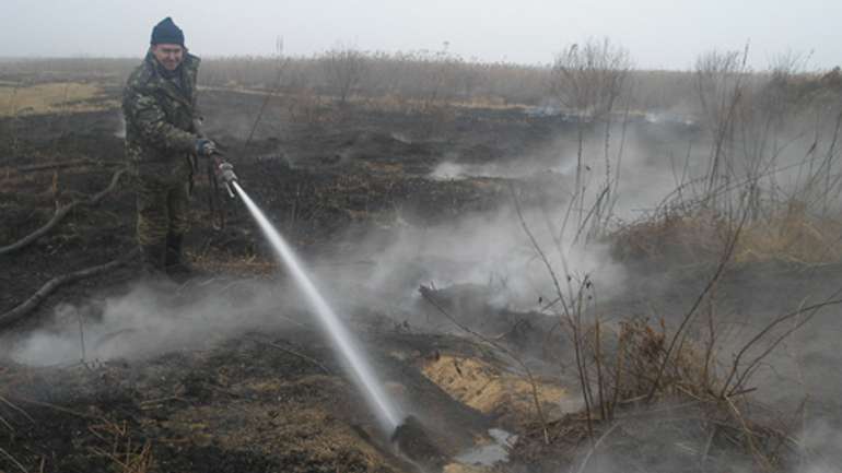 Вогнеборці Полтавщині продовжують гасити пожежу на торфовищах