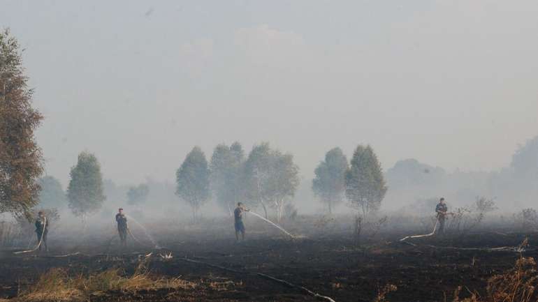В одному з сіл Чорнухинського району ліквідовано пожежу на торфовищі