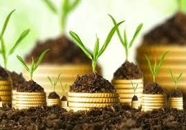 Відсутність аграрного міністра лякає закордонних інвесторів_1