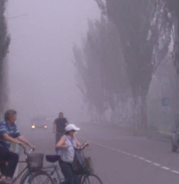 Пилова буря в Горішніх Плавнях. Чекати новітніх Помпей?_5