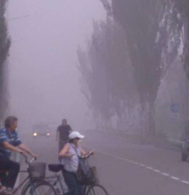 Пилова буря в Горішніх Плавнях. Чекати новітніх Помпей?_5