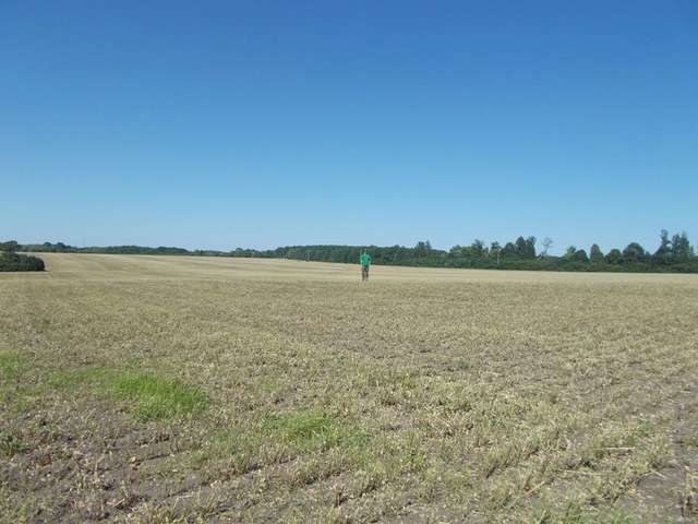 Нові археологічні відкриття на Більському городищі_1