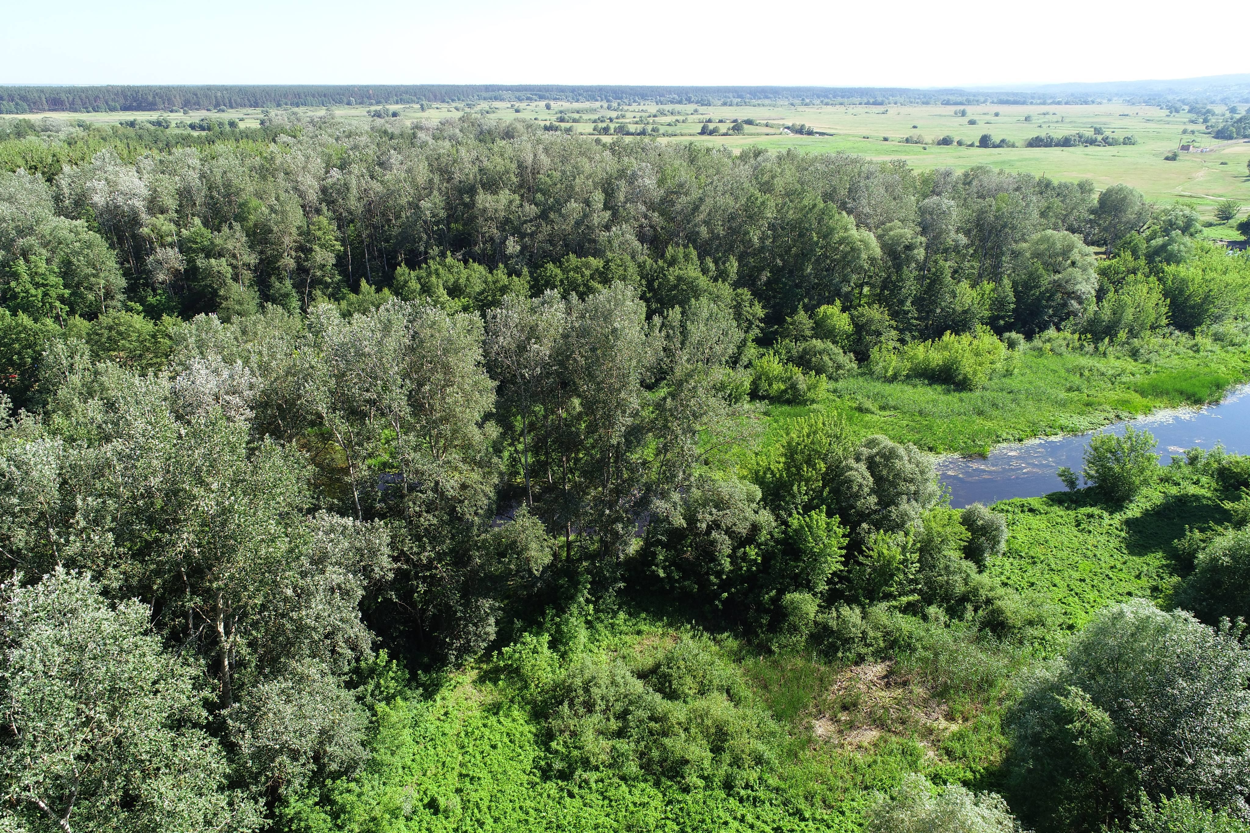 Доля зниклого під Охтиркою квадрокоптера і досі лишається не відомою_5