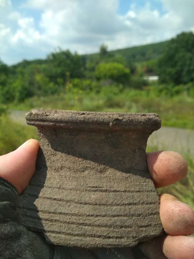 Рідкісні знахідки з розкопок поблизу Глинського на Полтавщині_10