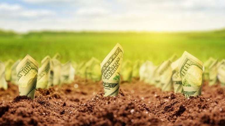 Ринок землі для українців, дозвіл іноземцям лише через референдум, – «Бурилка»