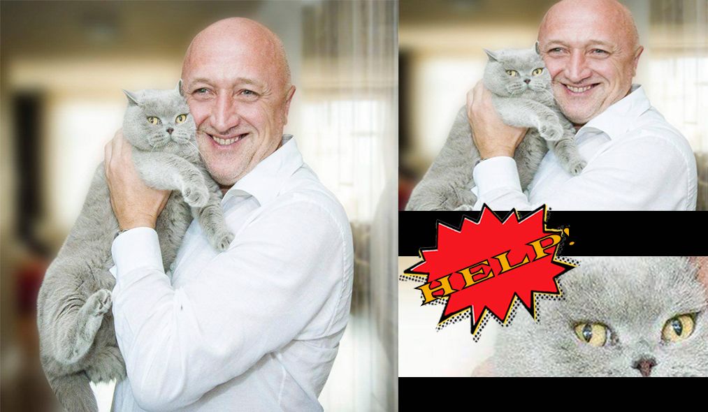 Герої нашого часу: патрульний врятував їжачка у Чернівцях_3