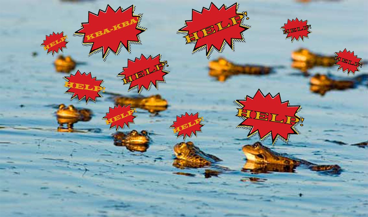 Герої нашого часу: патрульний врятував їжачка у Чернівцях_5