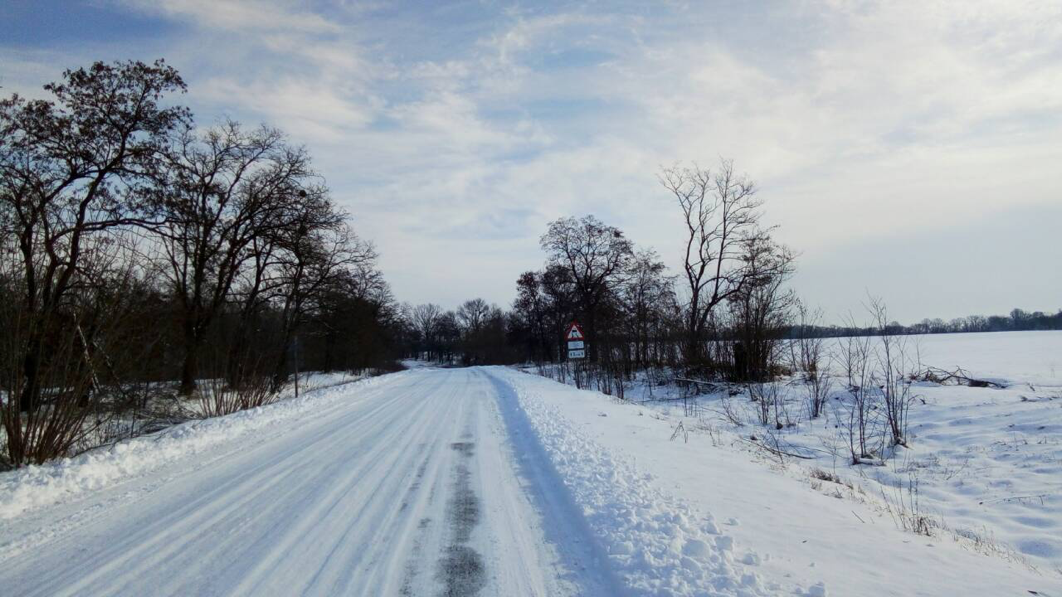Дві біди: дураки і дороги_5