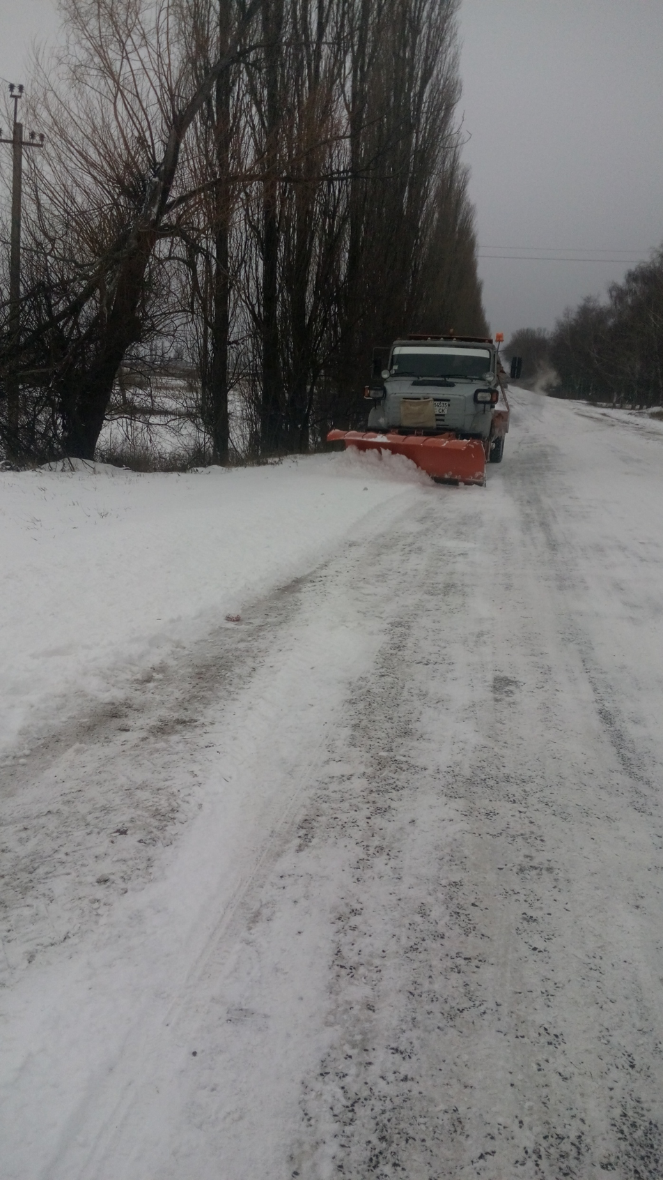 Дві біди: дураки і дороги_9