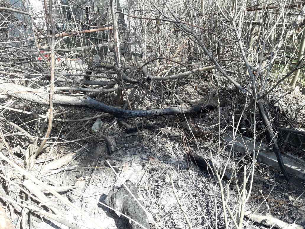 Полтавська влада немає поваги ні до живих, ні до мертвих_7