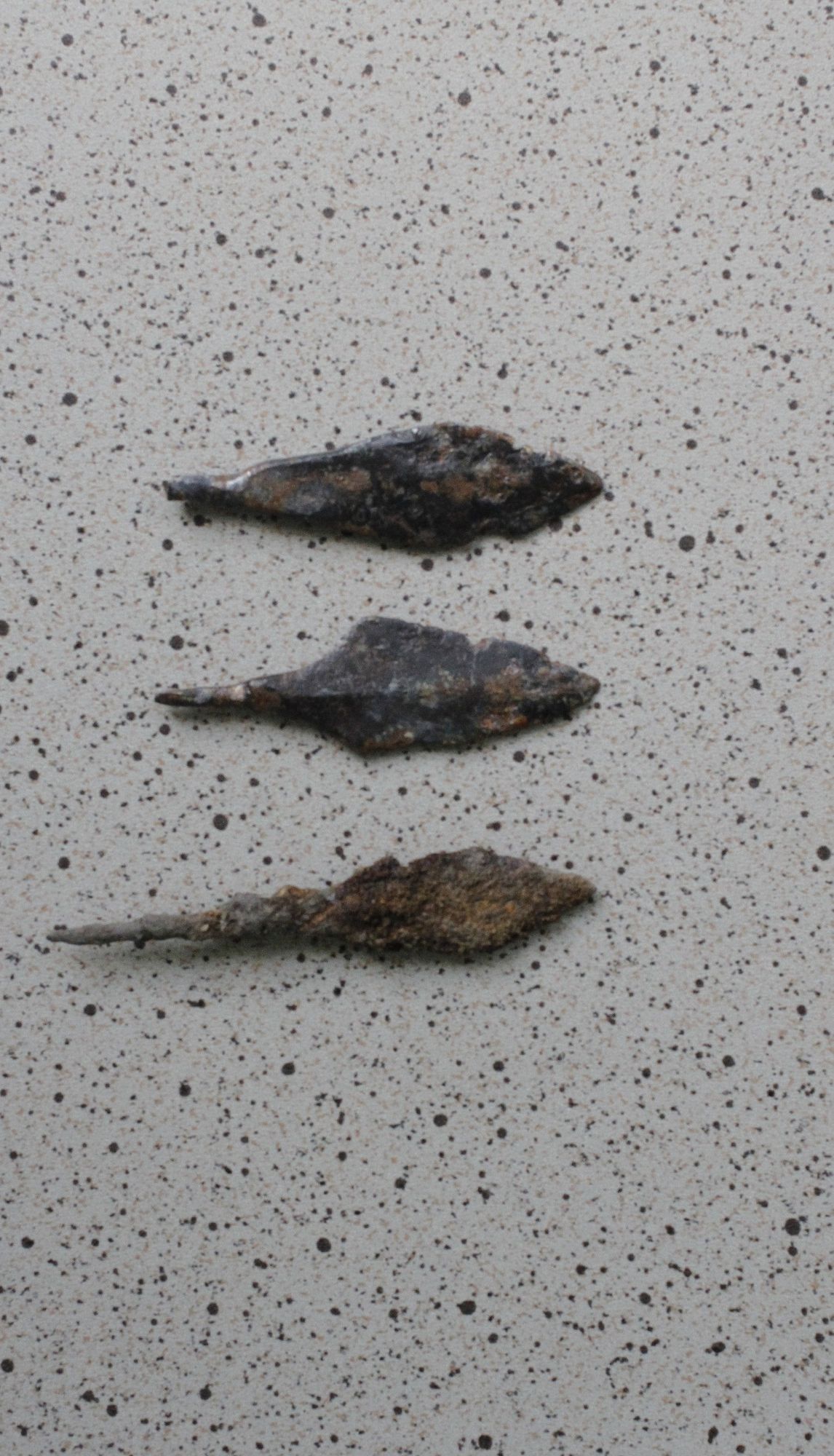 Археологи знайшли унікальні артефакти армії Вітовта на Полтавщині_5